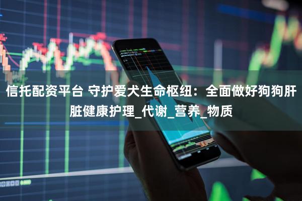 信托配资平台 守护爱犬生命枢纽：全面做好狗狗肝脏健康护理_代谢_营养_物质