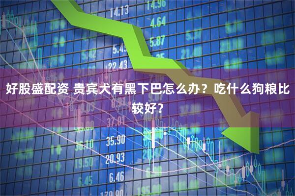 好股盛配资 贵宾犬有黑下巴怎么办？吃什么狗粮比较好？