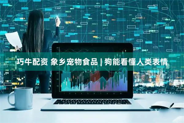 巧牛配资 象乡宠物食品 | 狗能看懂人类表情