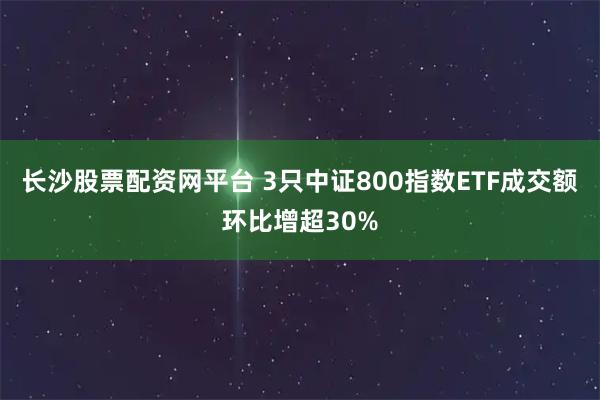 长沙股票配资网平台 3只中证800指数ETF成交额环比增超30%