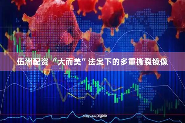伍洲配资 “大而美”法案下的多重撕裂镜像