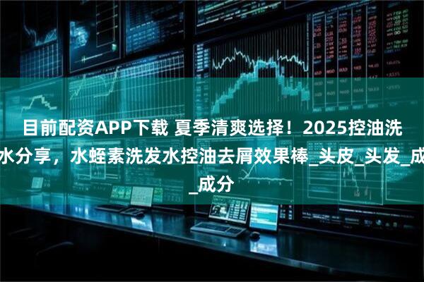 目前配资APP下载 夏季清爽选择！2025控油洗发水分享，水蛭素洗发水控油去屑效果棒_头皮_头发_成分